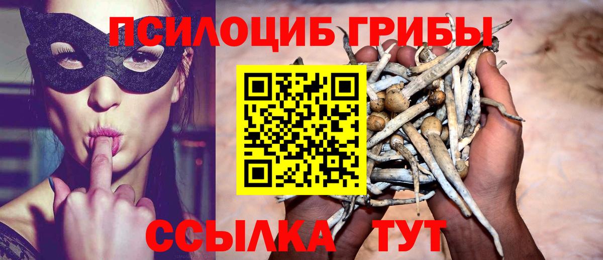 Галлюциногенные грибы MAGIC MUSHROOMS Россия