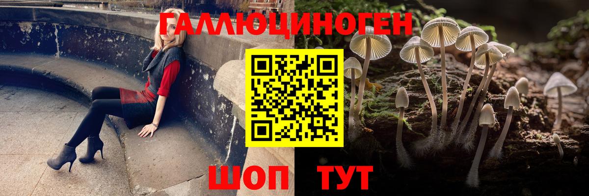 Галлюциногенные грибы Psilocybine cubensis  Вход с VPN  купить   Россия 